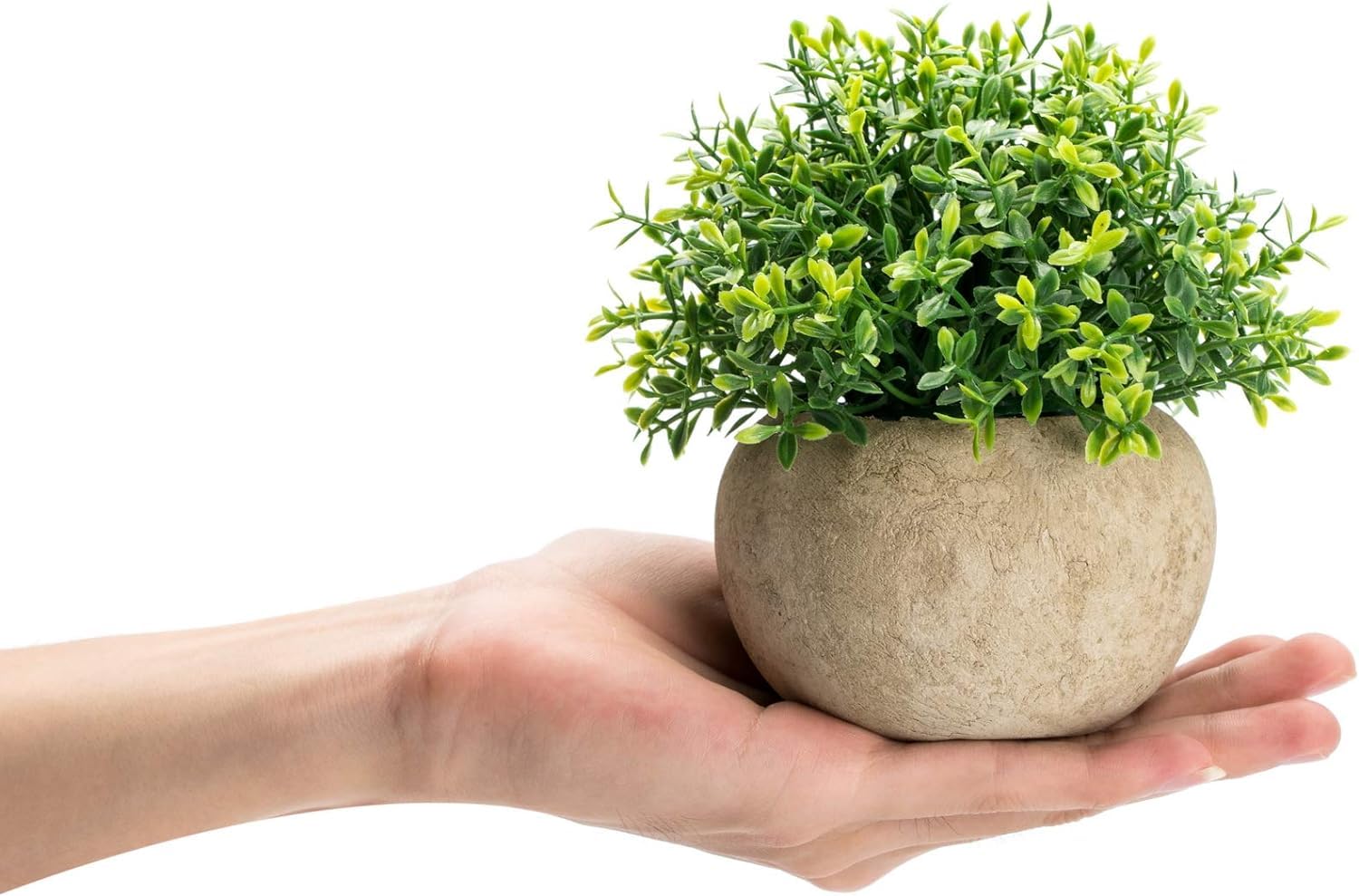 Dekorly® Artificial Plants Fake Mini Potted Plant Small Greenery Decor for Indoor Home Farmhouse Aesthetic Bedroom Shelf Office Desk Bathroom Decoration (Brown) - Image 4