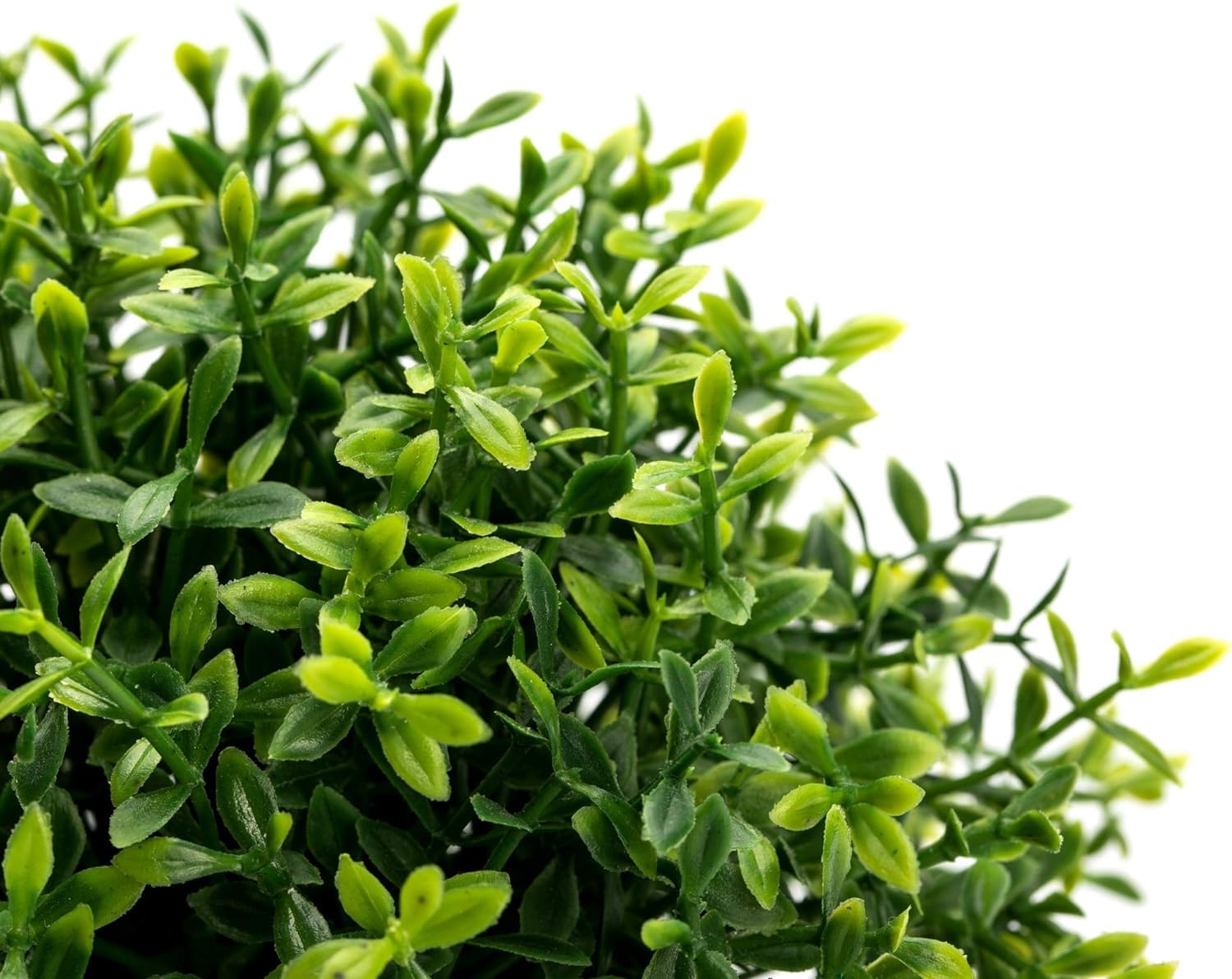 Dekorly® Artificial Plants Fake Mini Potted Plant Small Greenery Decor for Indoor Home Farmhouse Aesthetic Bedroom Shelf Office Desk Bathroom Decoration (Brown) - Image 8